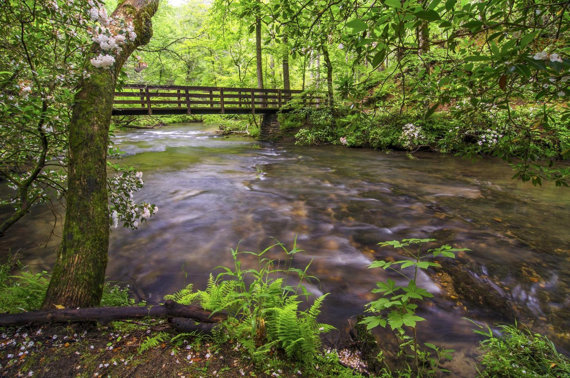 Spring View, 2 Bedrooms, WiFi, Hot Tub, Pool Table, Sleeps 6 Sevierville Buitenkant foto